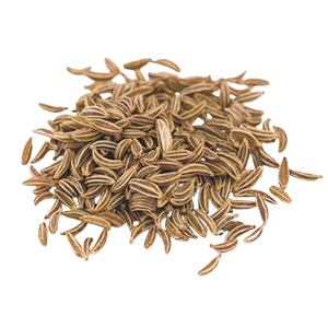 Premium Cumin seeds Shop Premium Cumin seeds