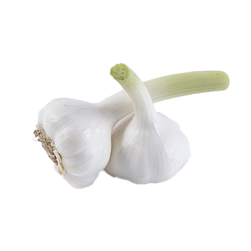 Buy Fresh Garlic Online