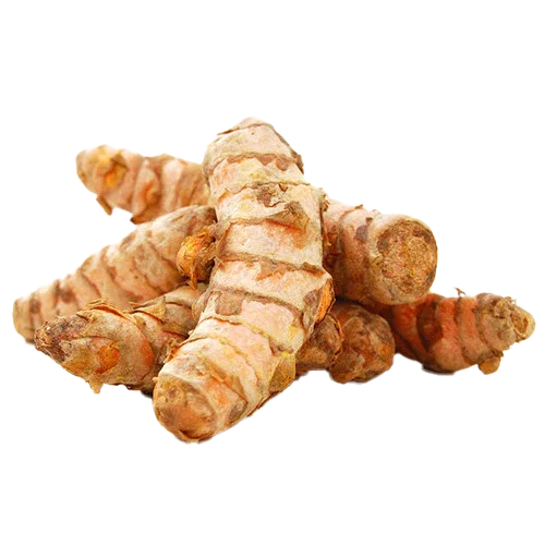 Organic Fresh Turmeric